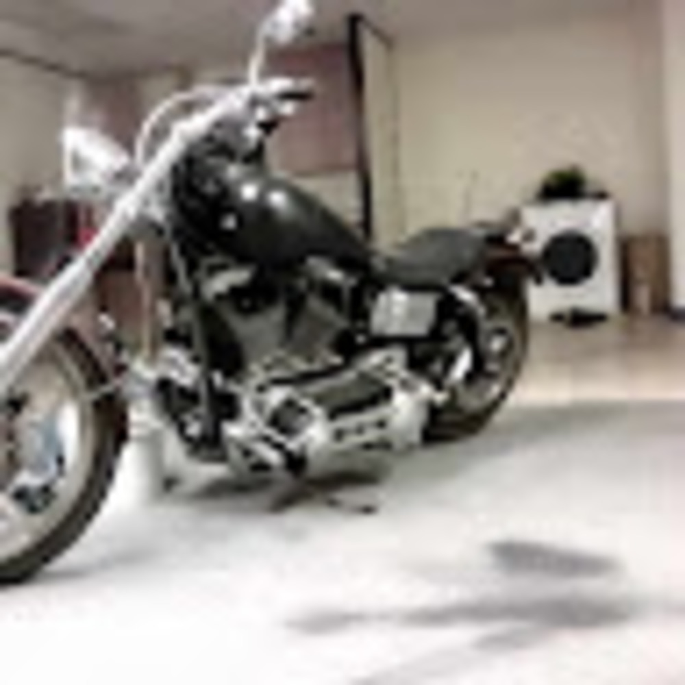 Meet your Posher, Terry